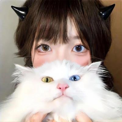 我是希斯·莱杰